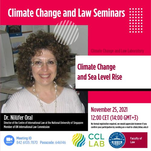 CCLLAB Climate Change and Law Seminars - Dr. Nilüfer Oral