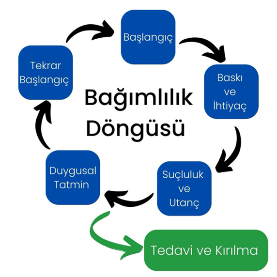 Sağlıklı beyin ve bağımlılıkta işlevsel değişimler karşılaştırması