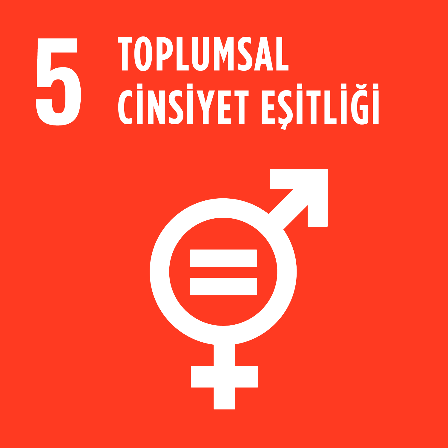 Toplumsal Cinsiyet Eşitliği