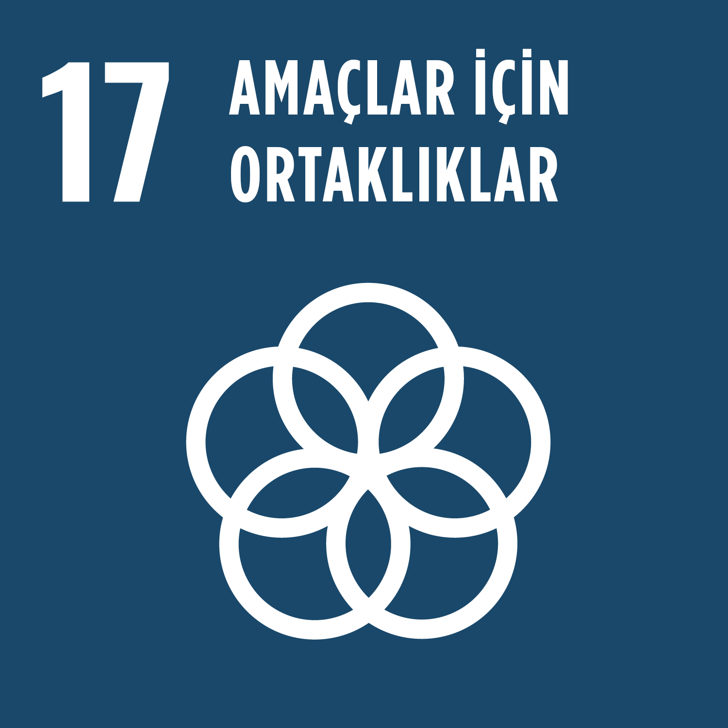 Amaçlar için Ortaklıklar