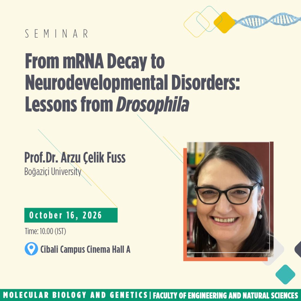 From mRNA Decay to Neurodevelopmental Disorders: Lessons from Drosophila